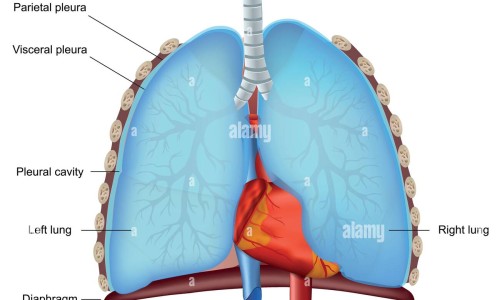 哺乳期尿多正常吗-哺乳期尿黄是什么原因引起的,中国哺乳期发烧尿频网站